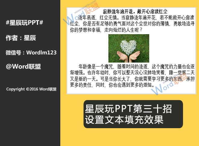 露乳头的动漫——，争议与艺术的交锋