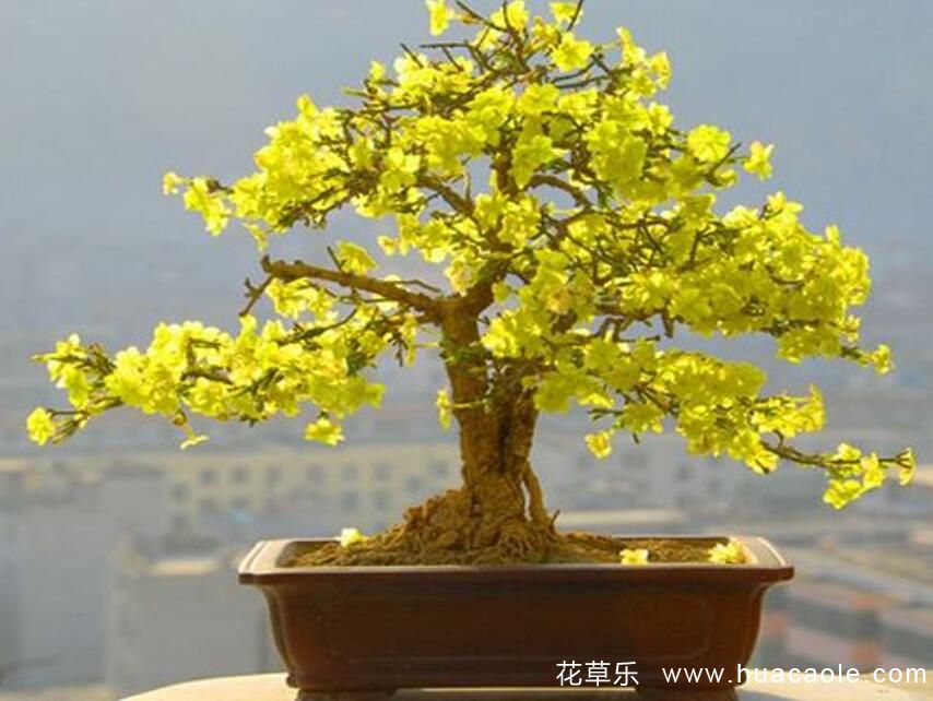 蛇人的动漫少妇精品一区二区三区，揭秘神秘的鳞片世界与深层人性的碰撞